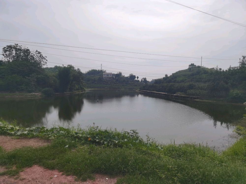 罗龙菖蒲塘休闲钓场