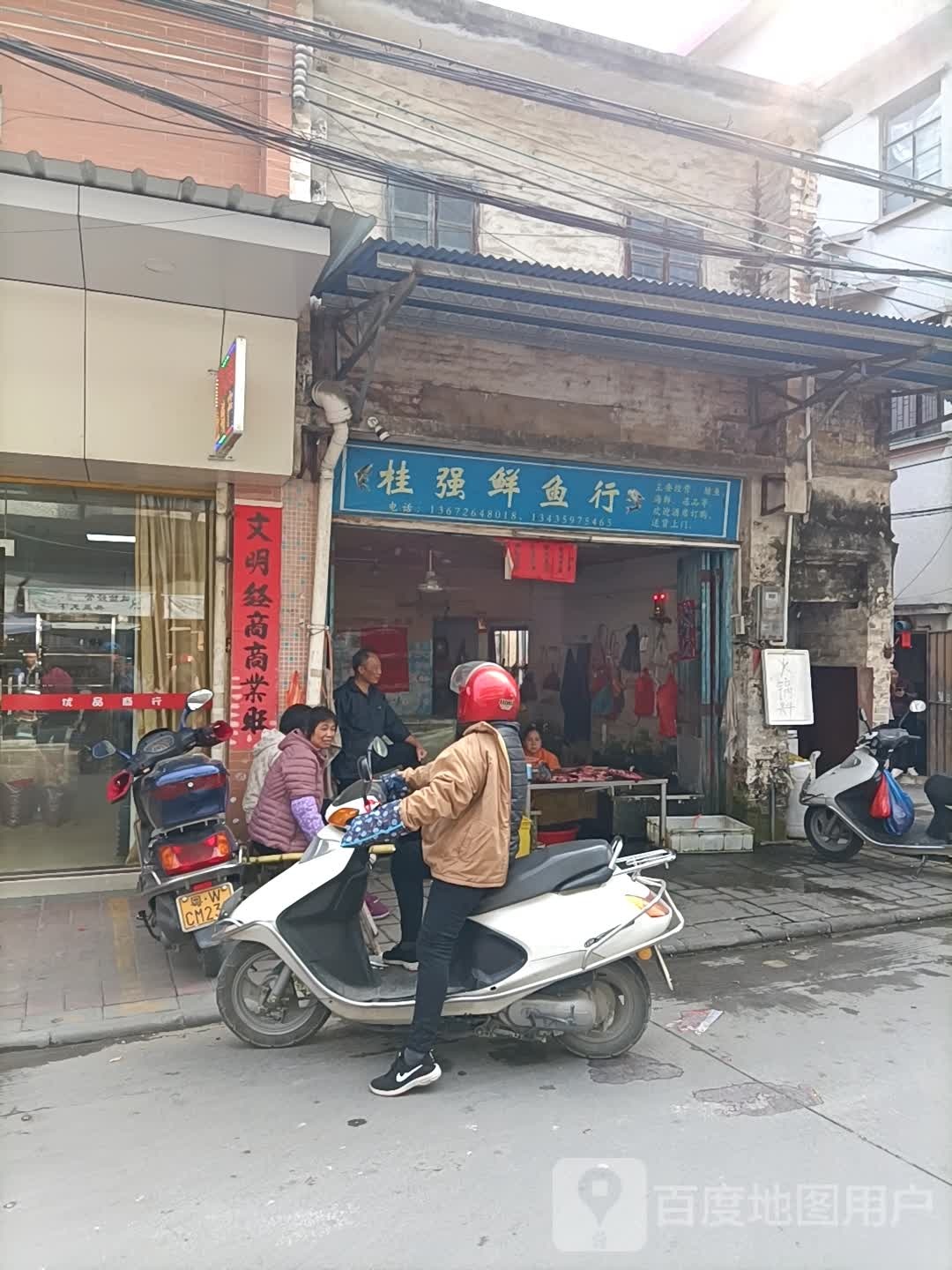 桂强鲜鱼行