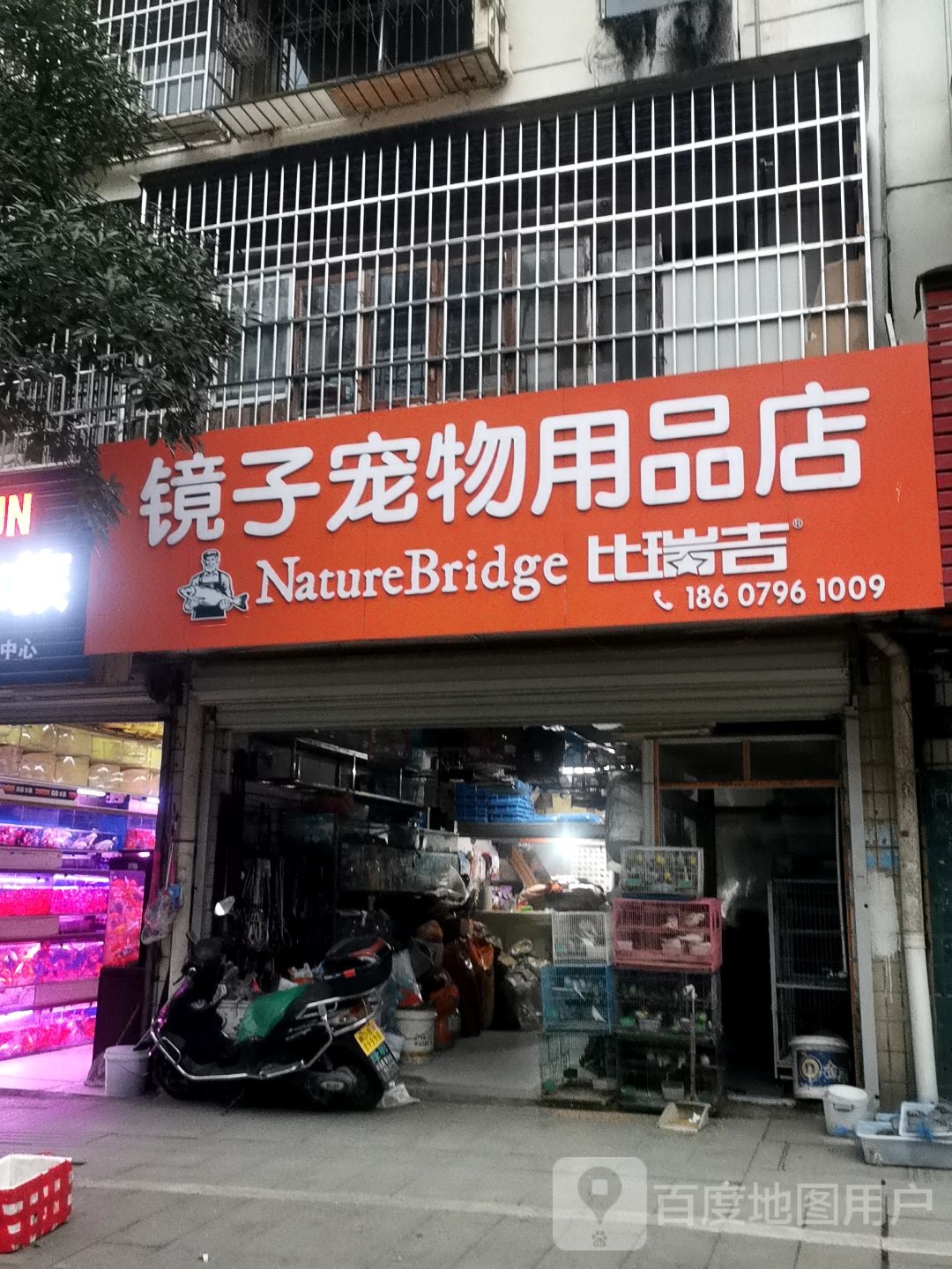 镜子宠物用品店(仁山坪路店)