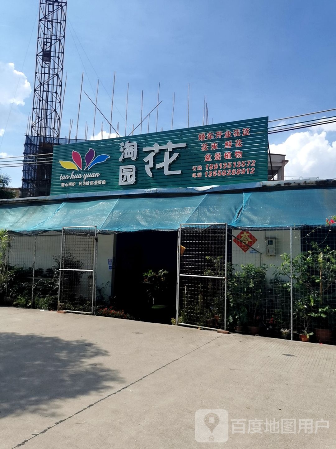 淘花园花店(沥镇路店)