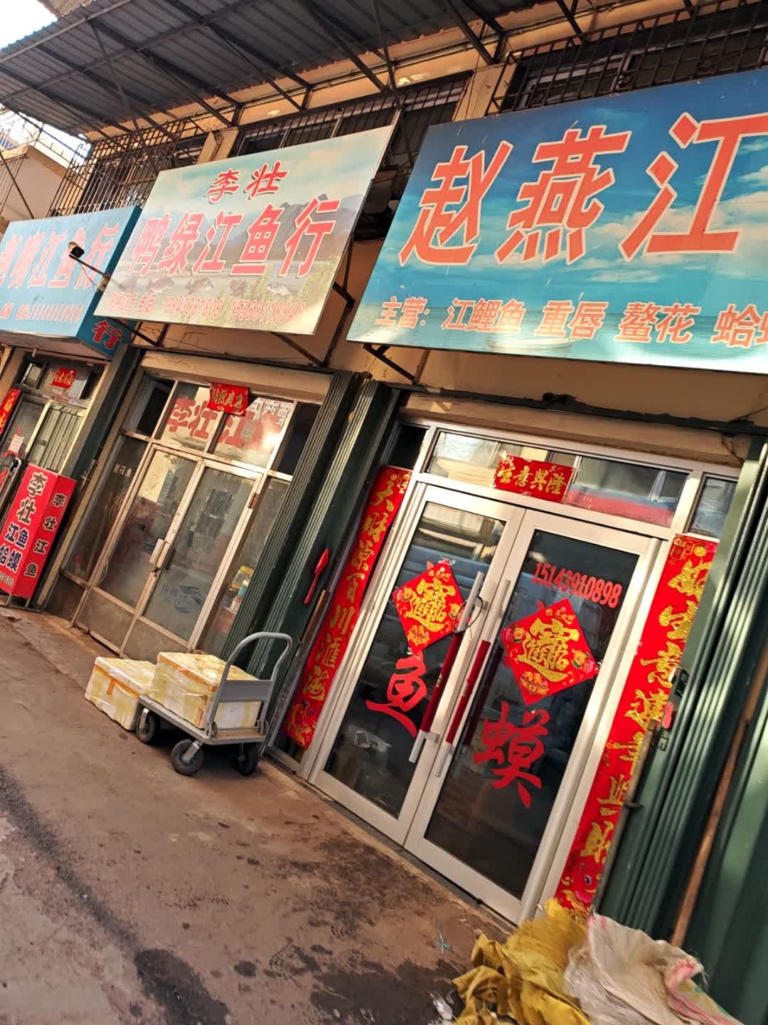 李壮鸭绿江鱼行