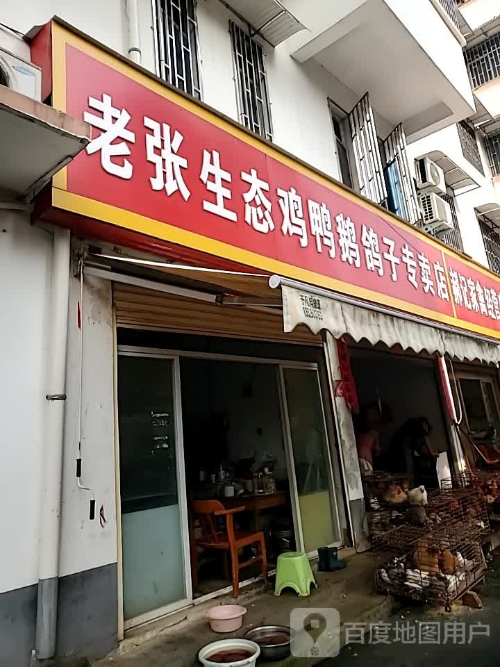 老张生态鸡鸭鹅鸽子专卖店