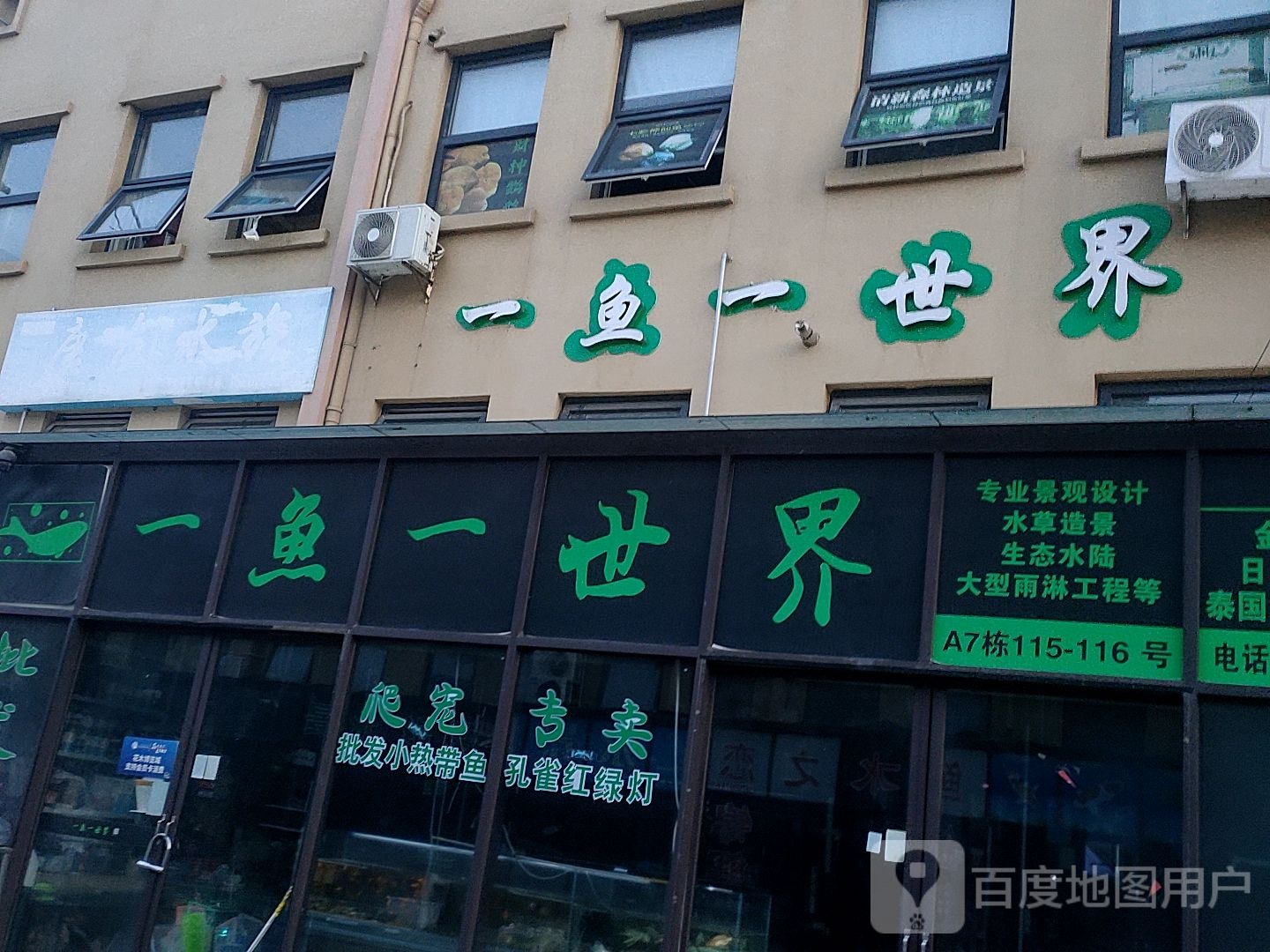 一鱼一世界