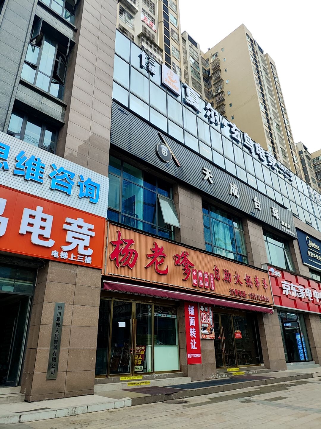 夏尔玄鸟电竞