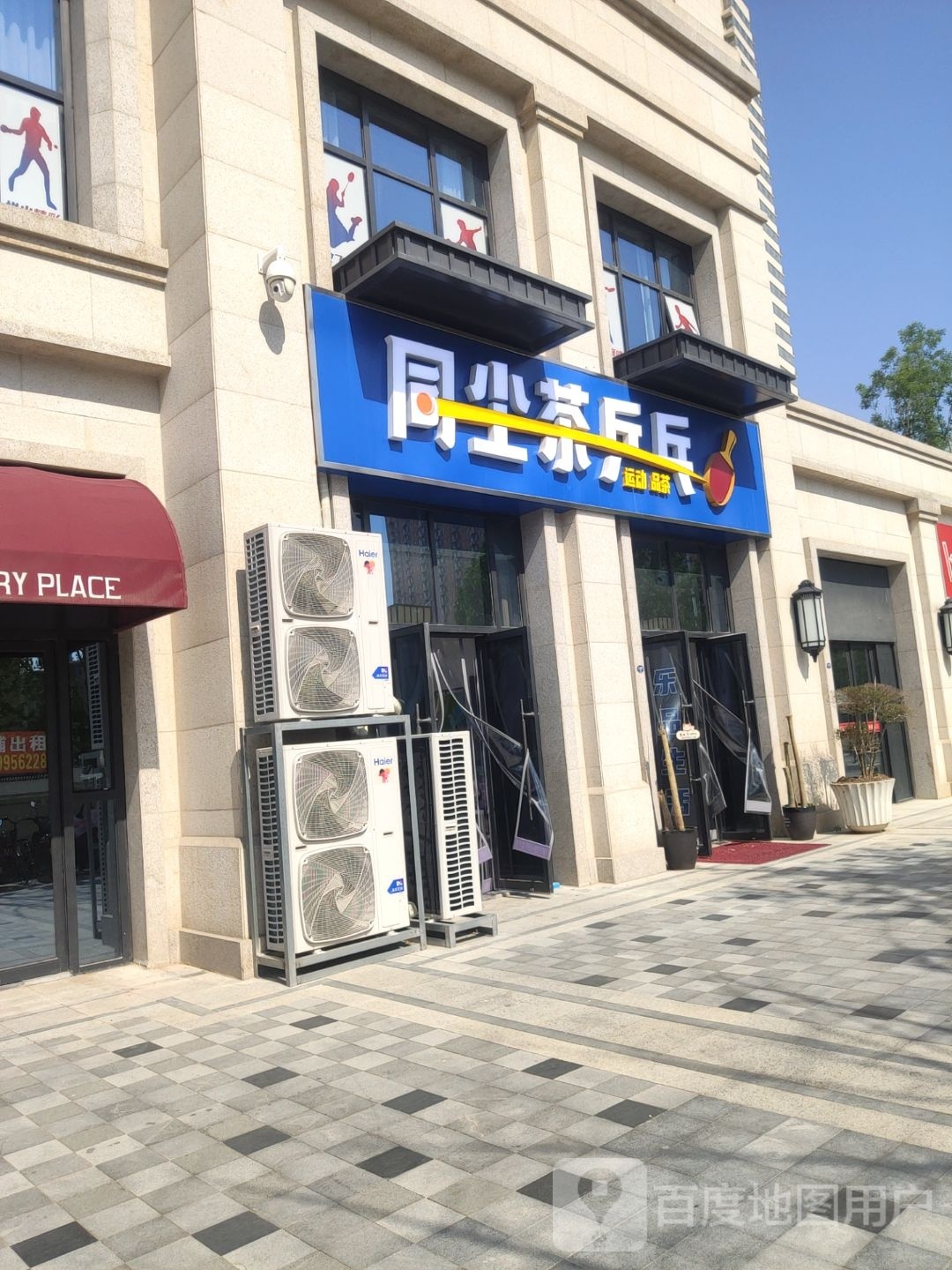 同尘茶乒乓球