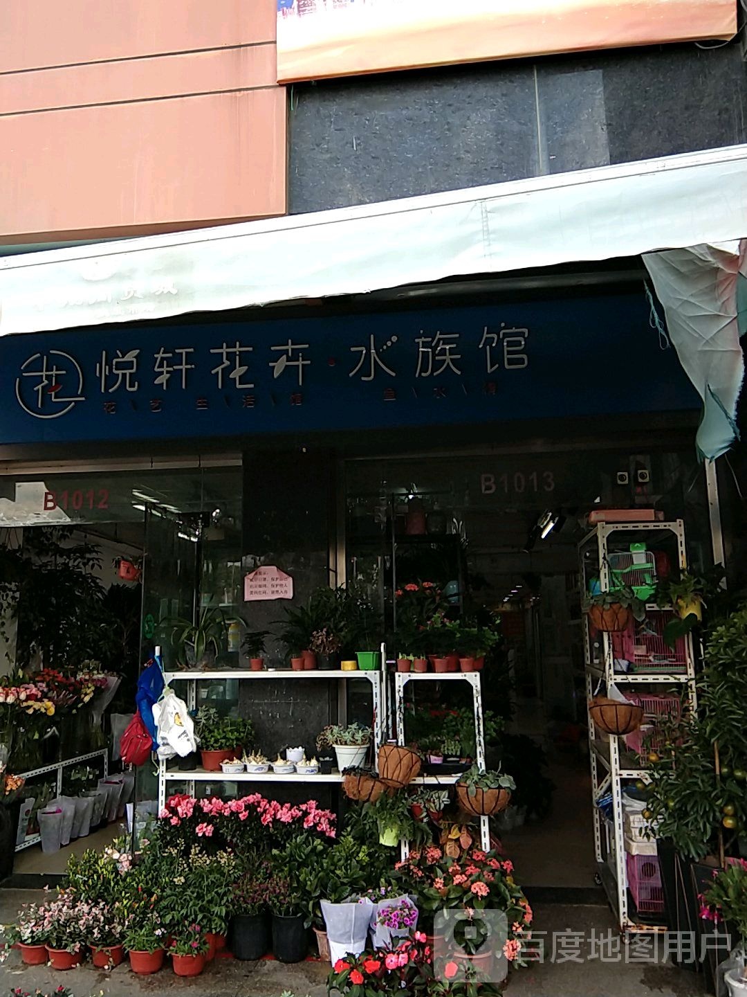 悦轩花卉·水族管(中翔商贸城店)