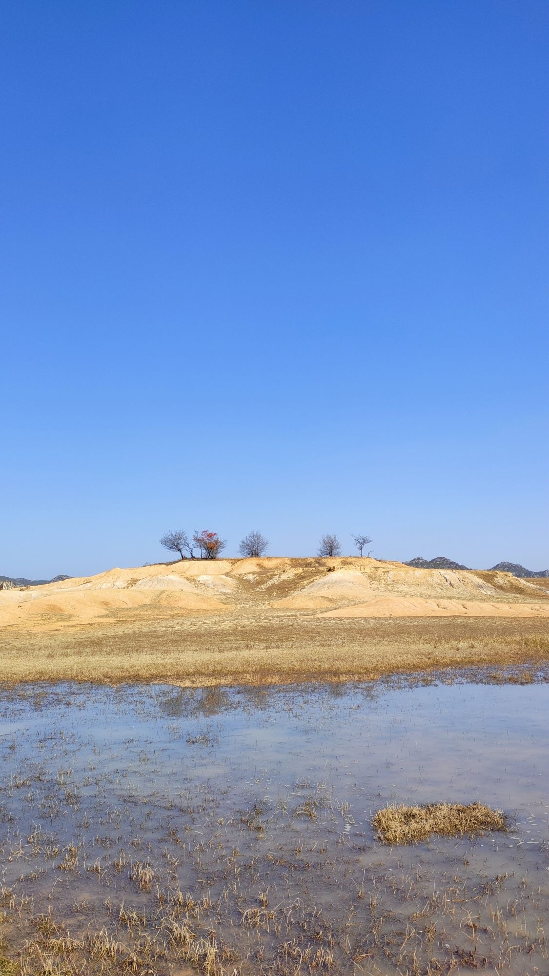 海峰湿地