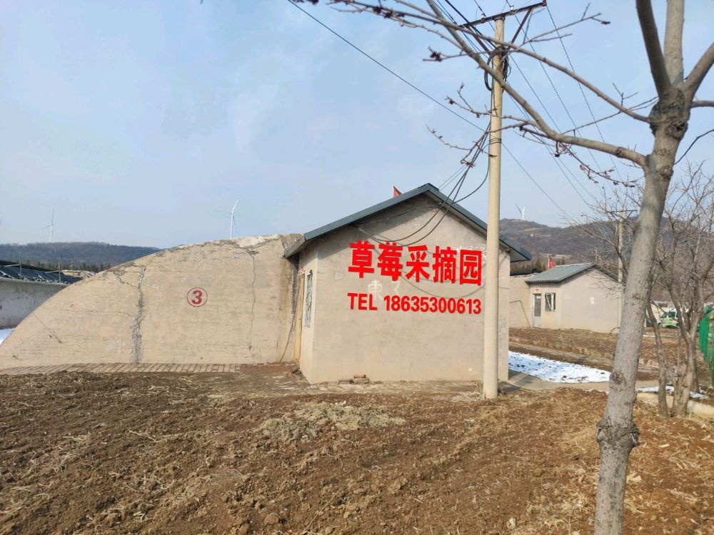 汉河沟草莓采摘园