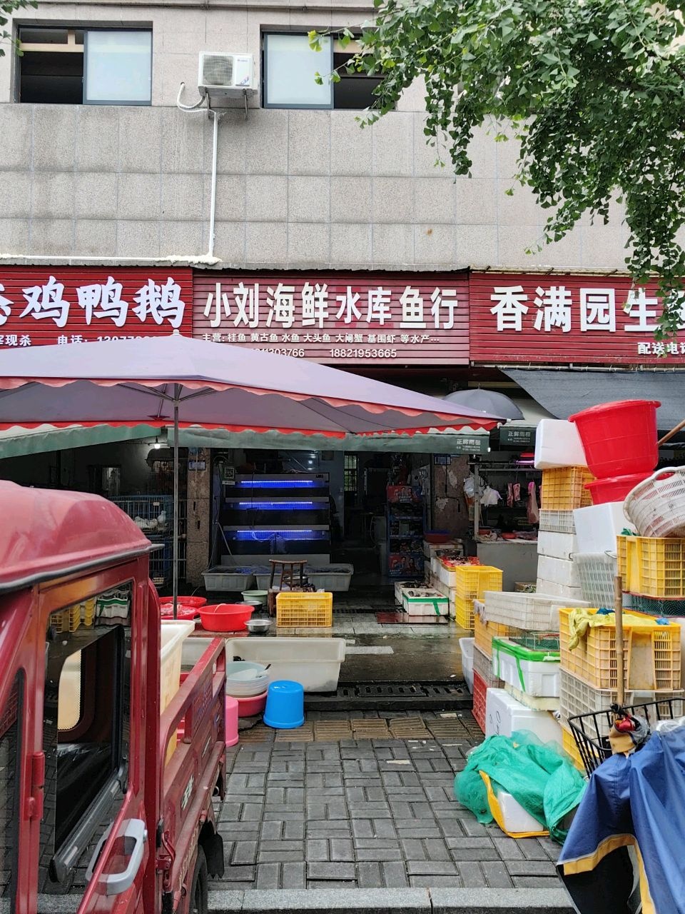 小刘海鲜水库鱼行(白马·青秀店)
