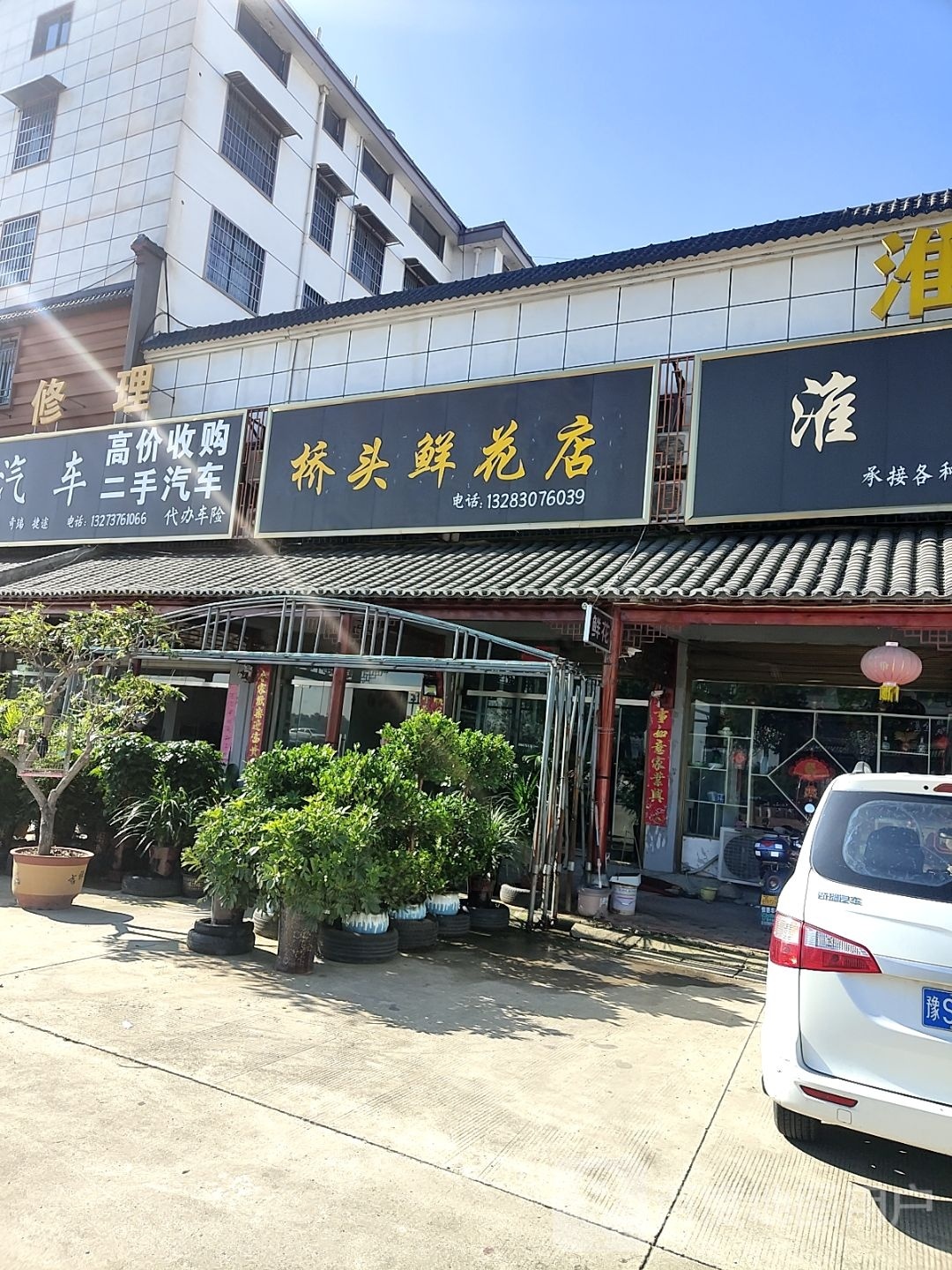 桥头鲜花店(花盆花卉盆景)