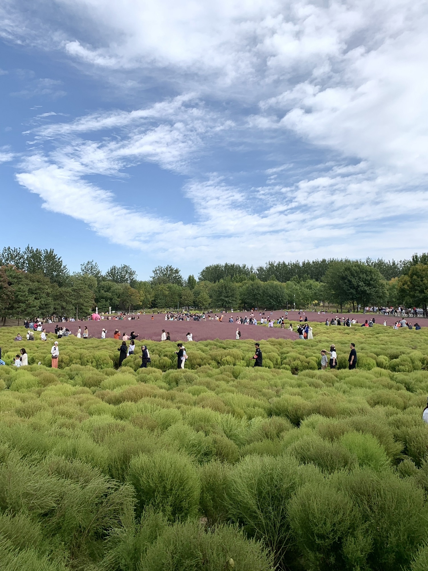 奥林匹克森林公园-北园