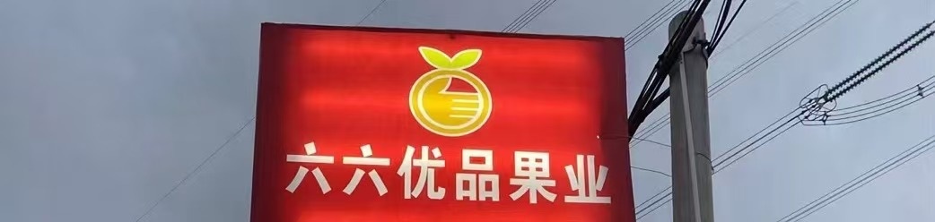 六六优品果业