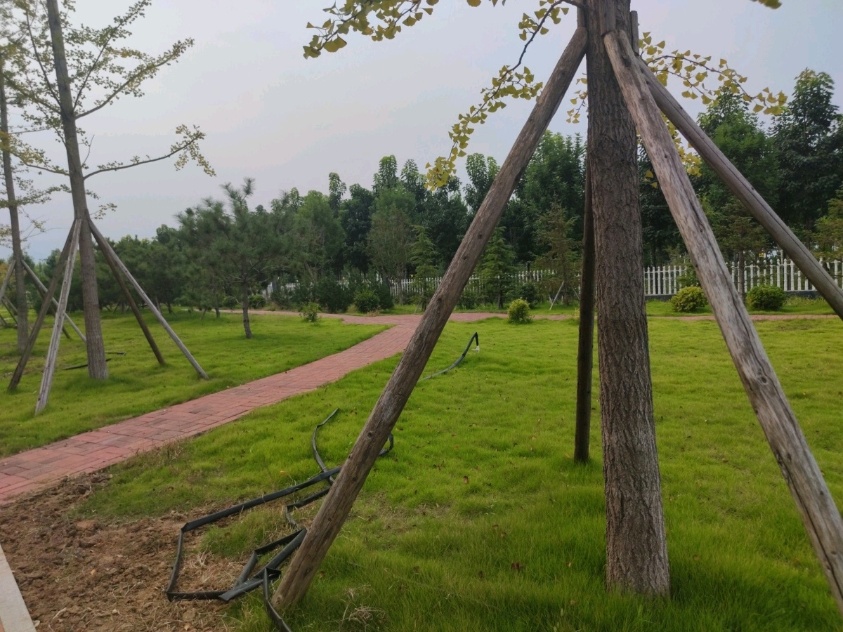 泰山科技学院-休闲广场(东)