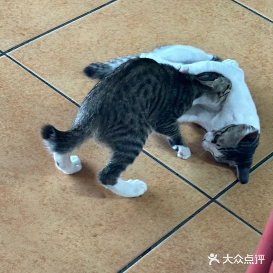 衡东土菜馆(镇中路店)