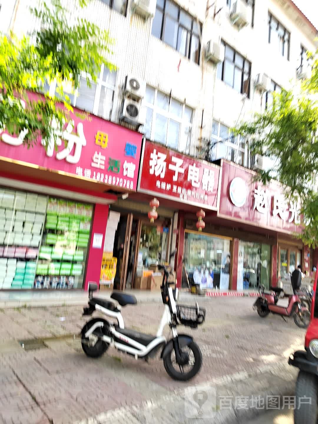 西华县扬子电器(长平路店)