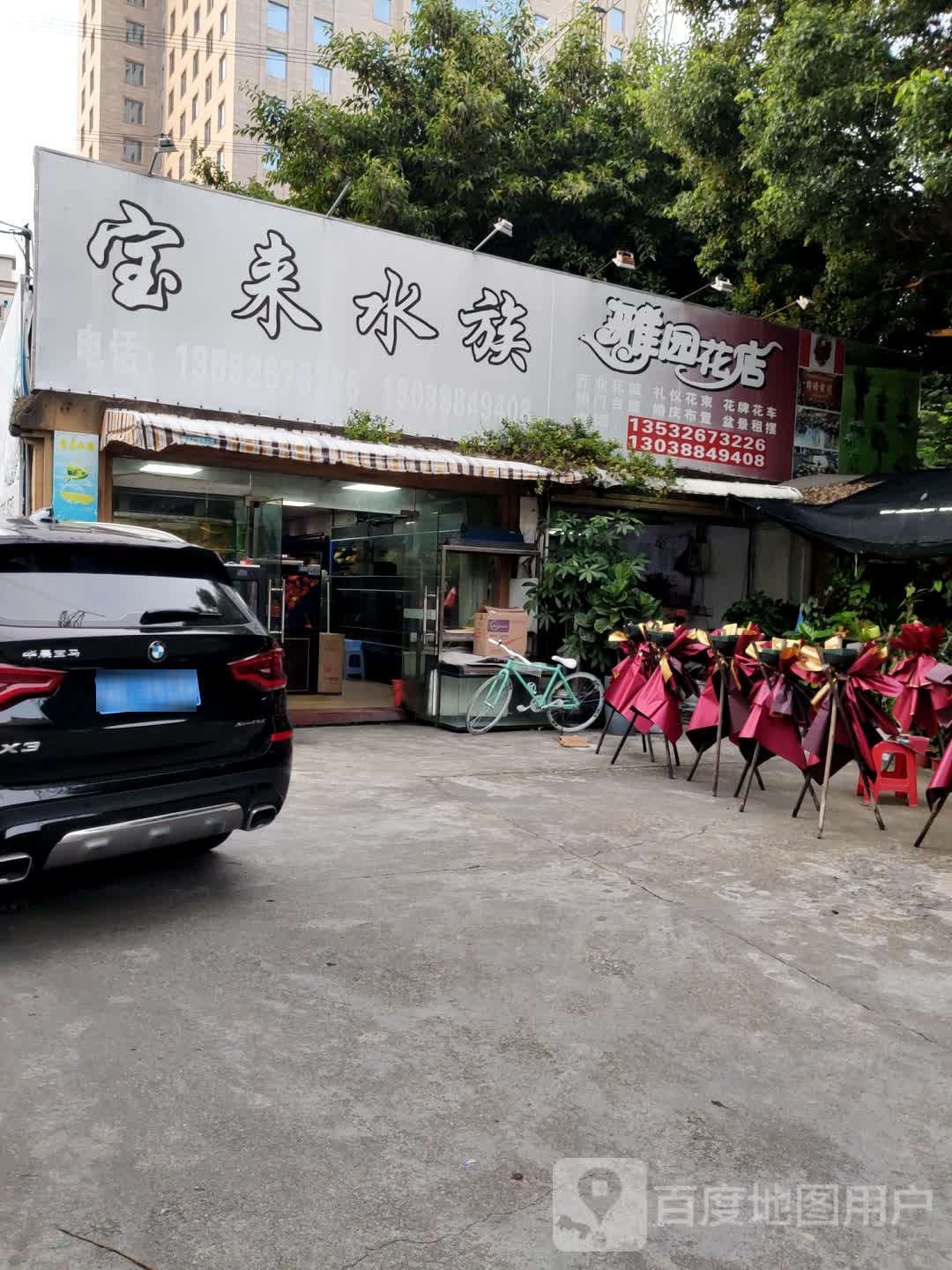 宝来水族花店