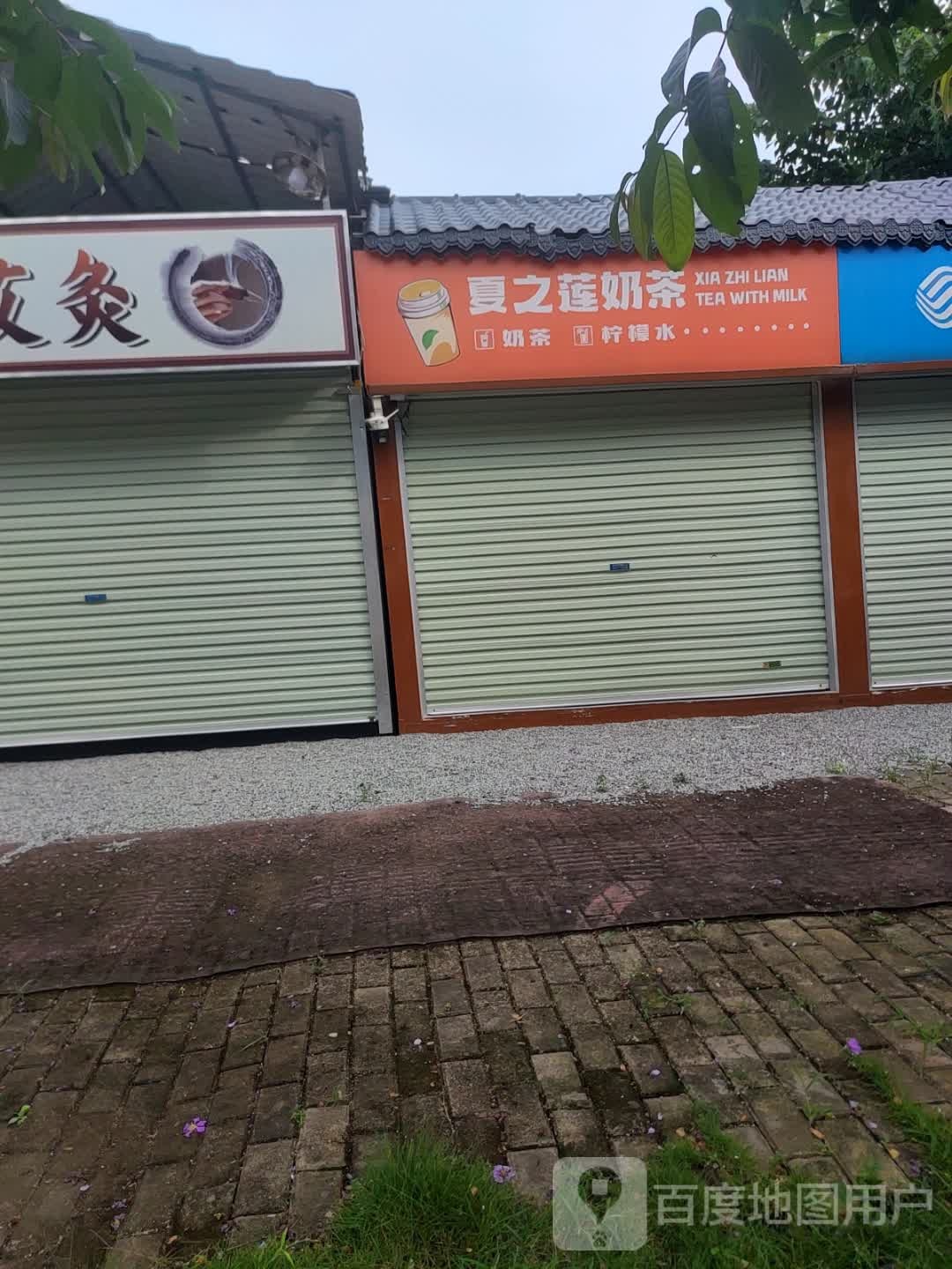 夏之莲奶茶