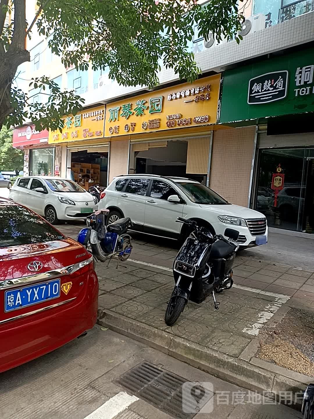 丽琴茶园(和邦路店)