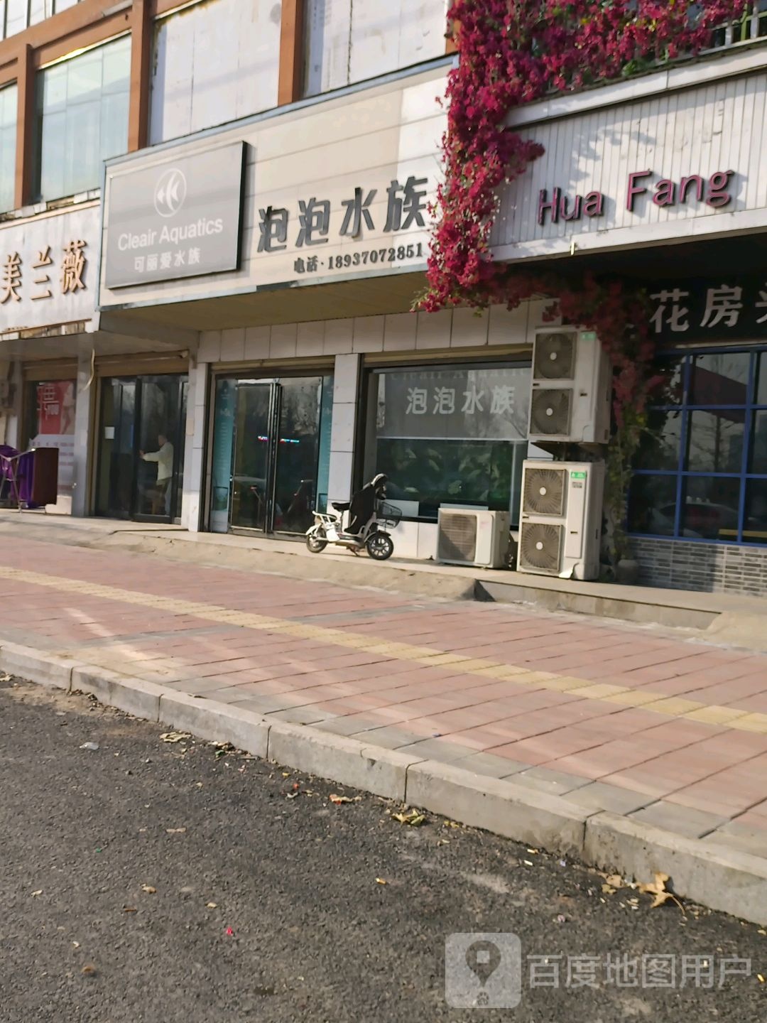 可丽爱水族(中央大街店)