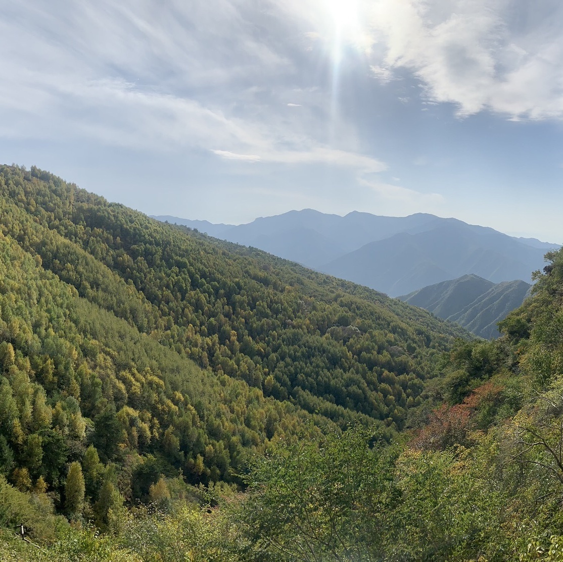 赵杲观景区