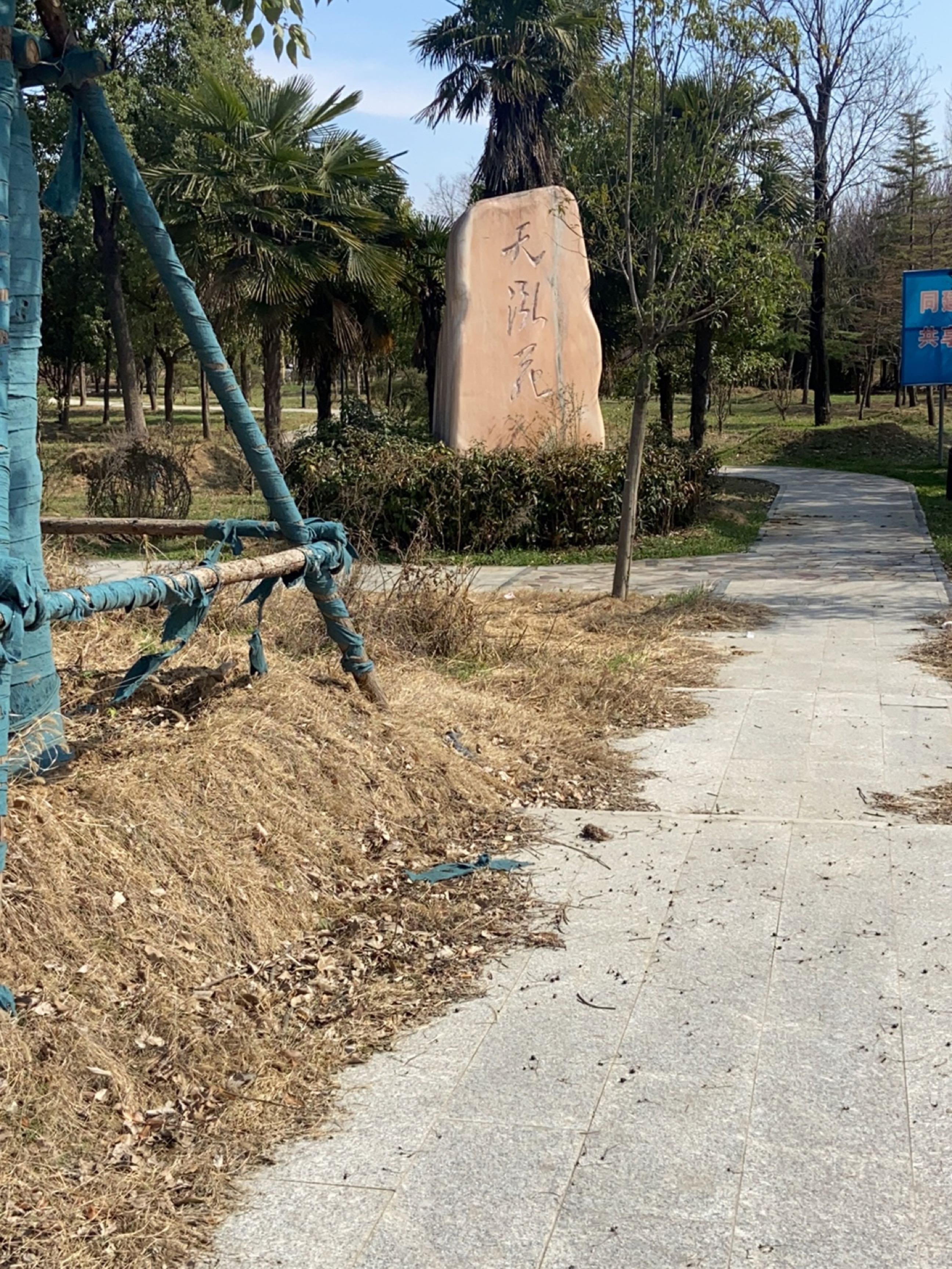 天泓苑游园