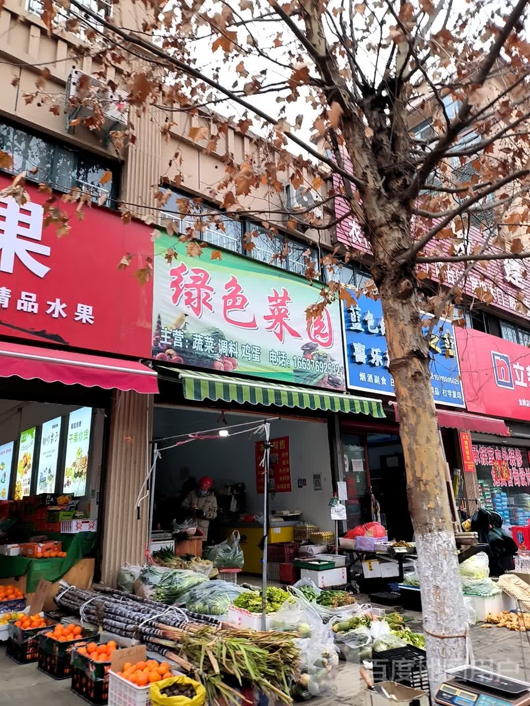 罗山县绿色菜园(世序西路店)