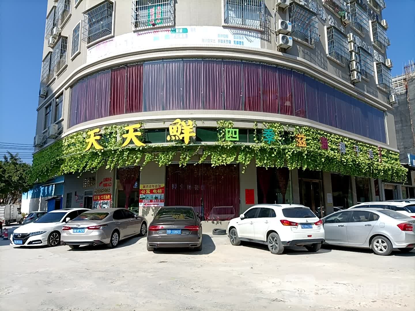 天天鲜椰子鸡(育才南路店)