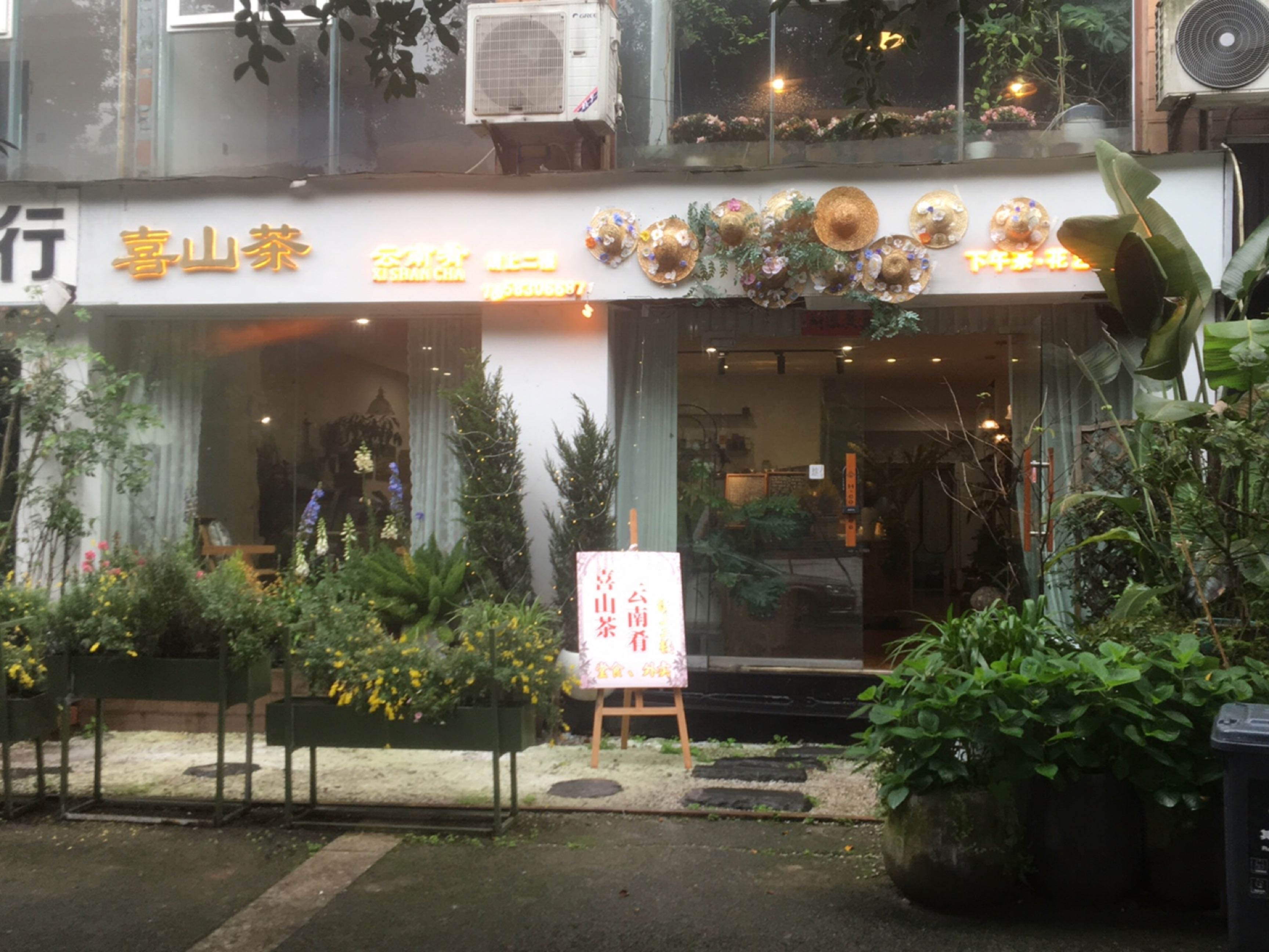 喜山茶·云南肴