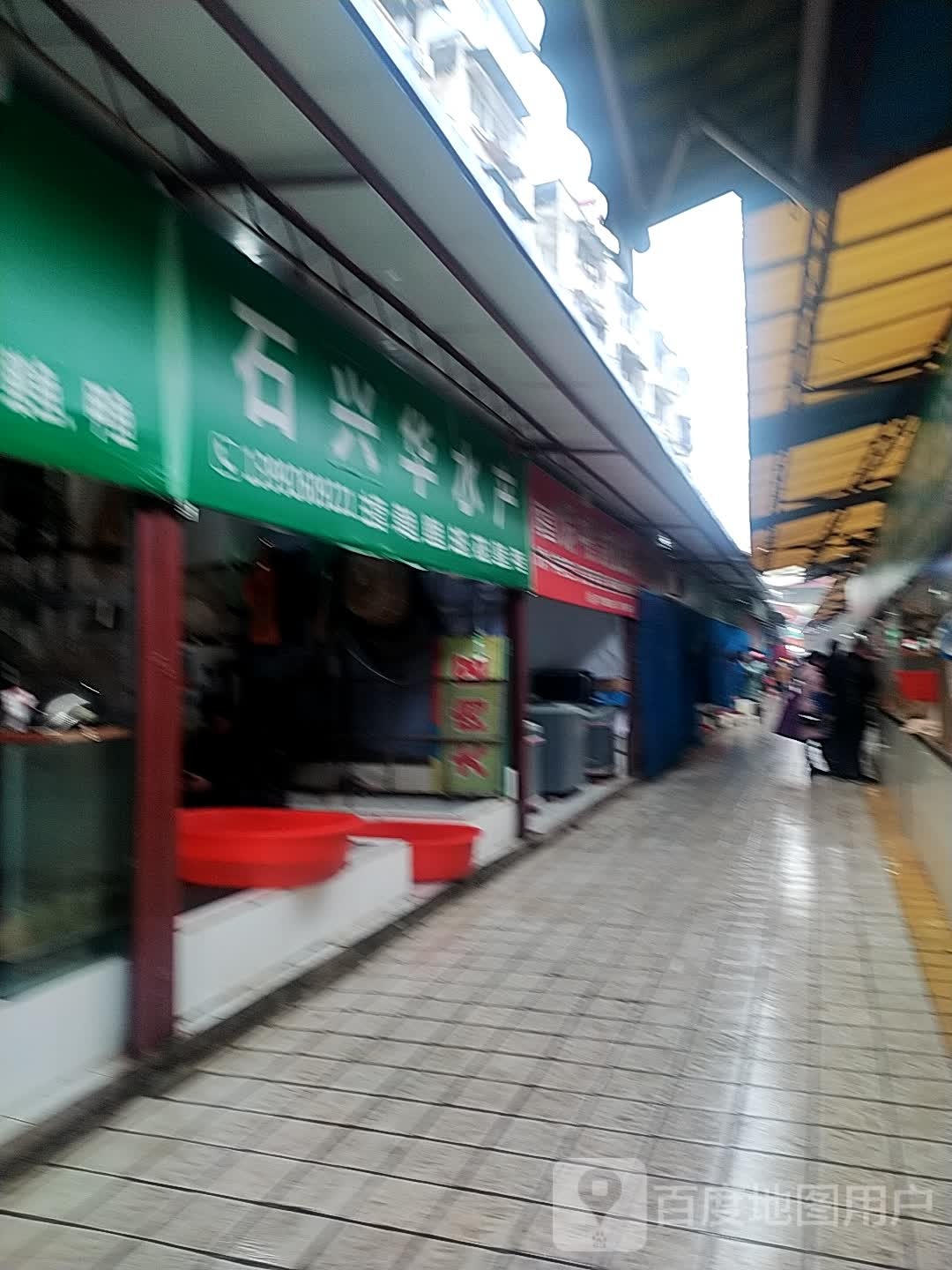石市新水产