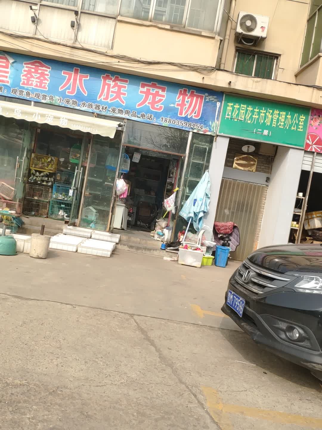 星鑫水族宠物