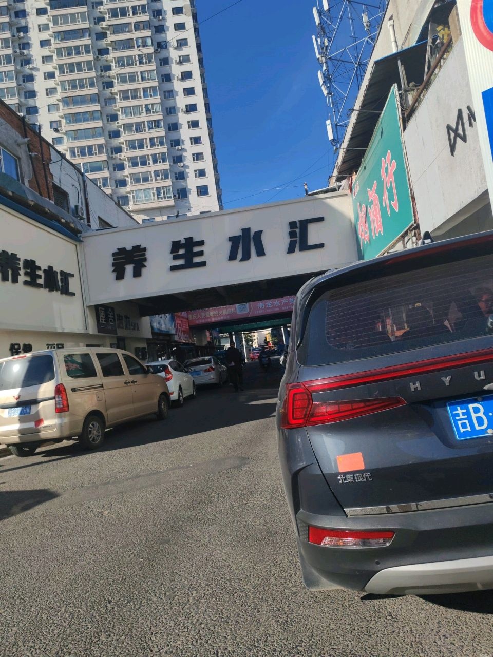 养生水汇