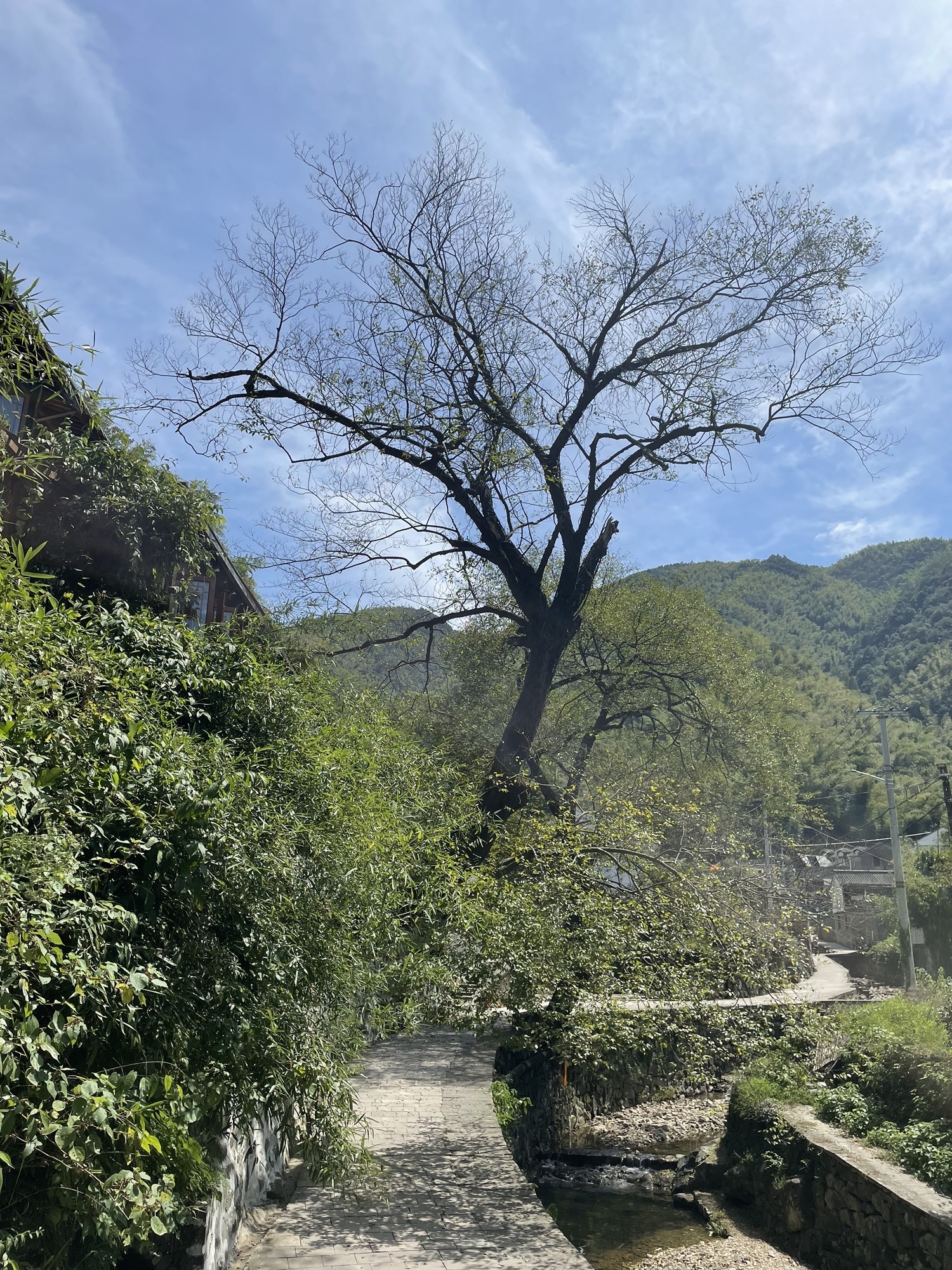 余姚千年古村(冠佩村)