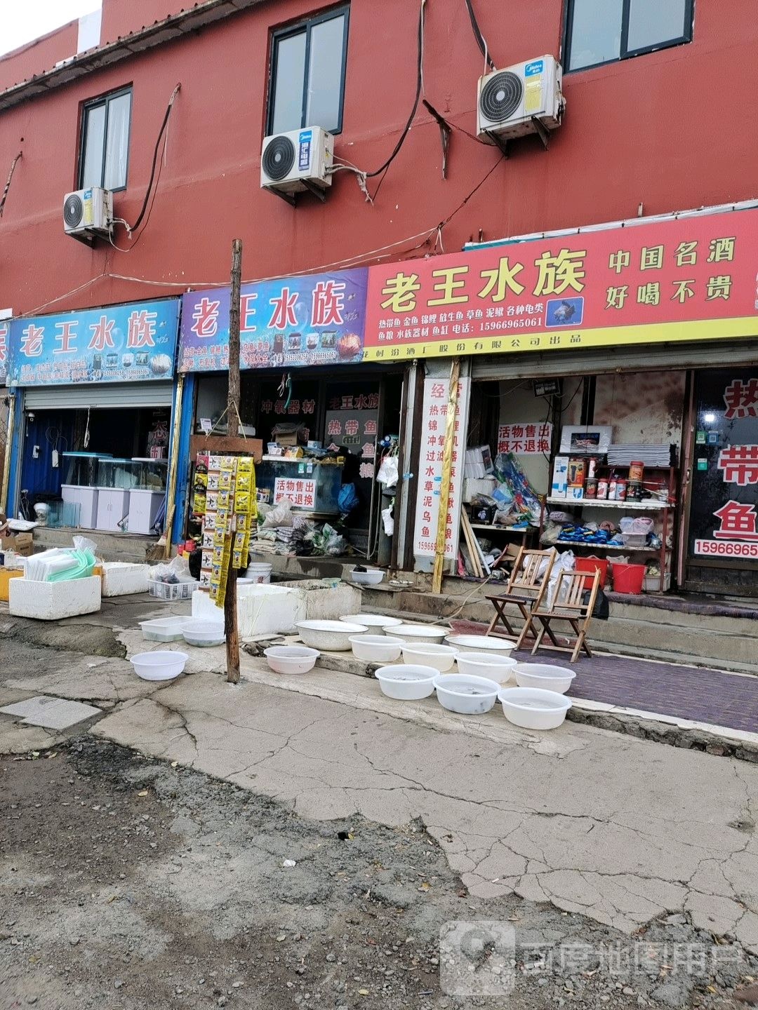老王水族