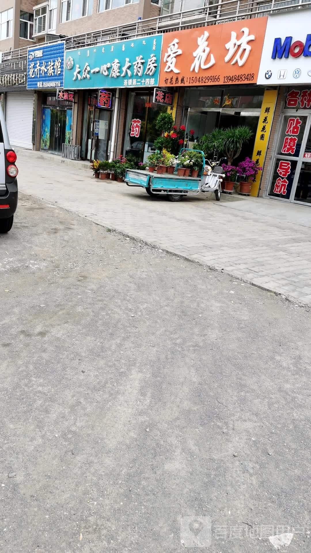 花卉水族馆