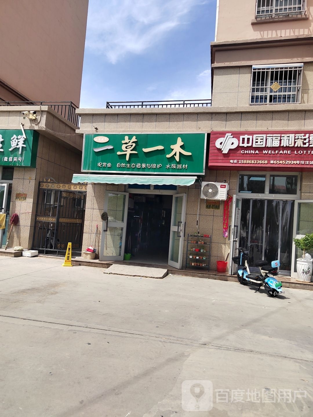 一草一木观赏鱼店(南泥湾大道店)