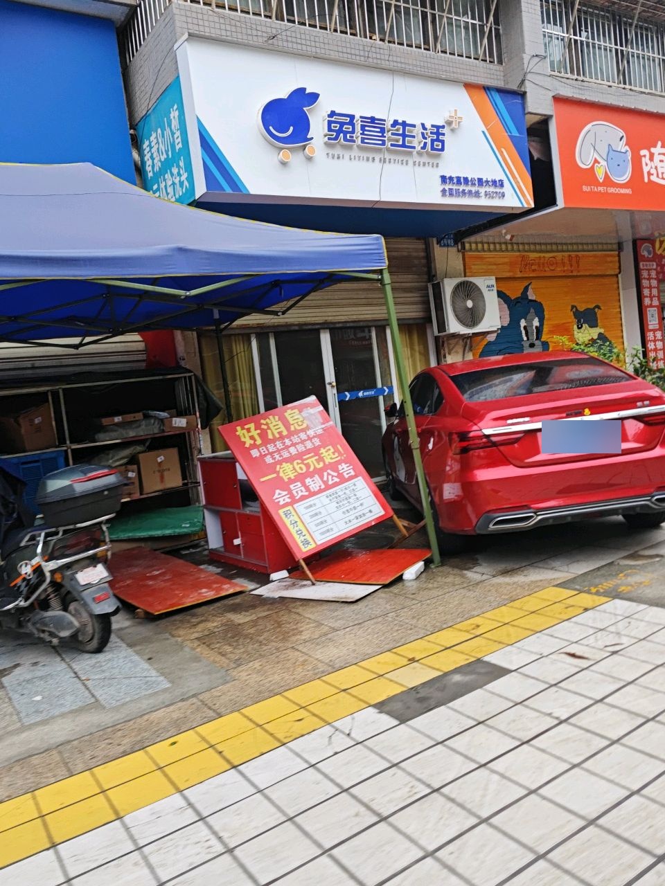 随它宠物生活馆(公园大地店)
