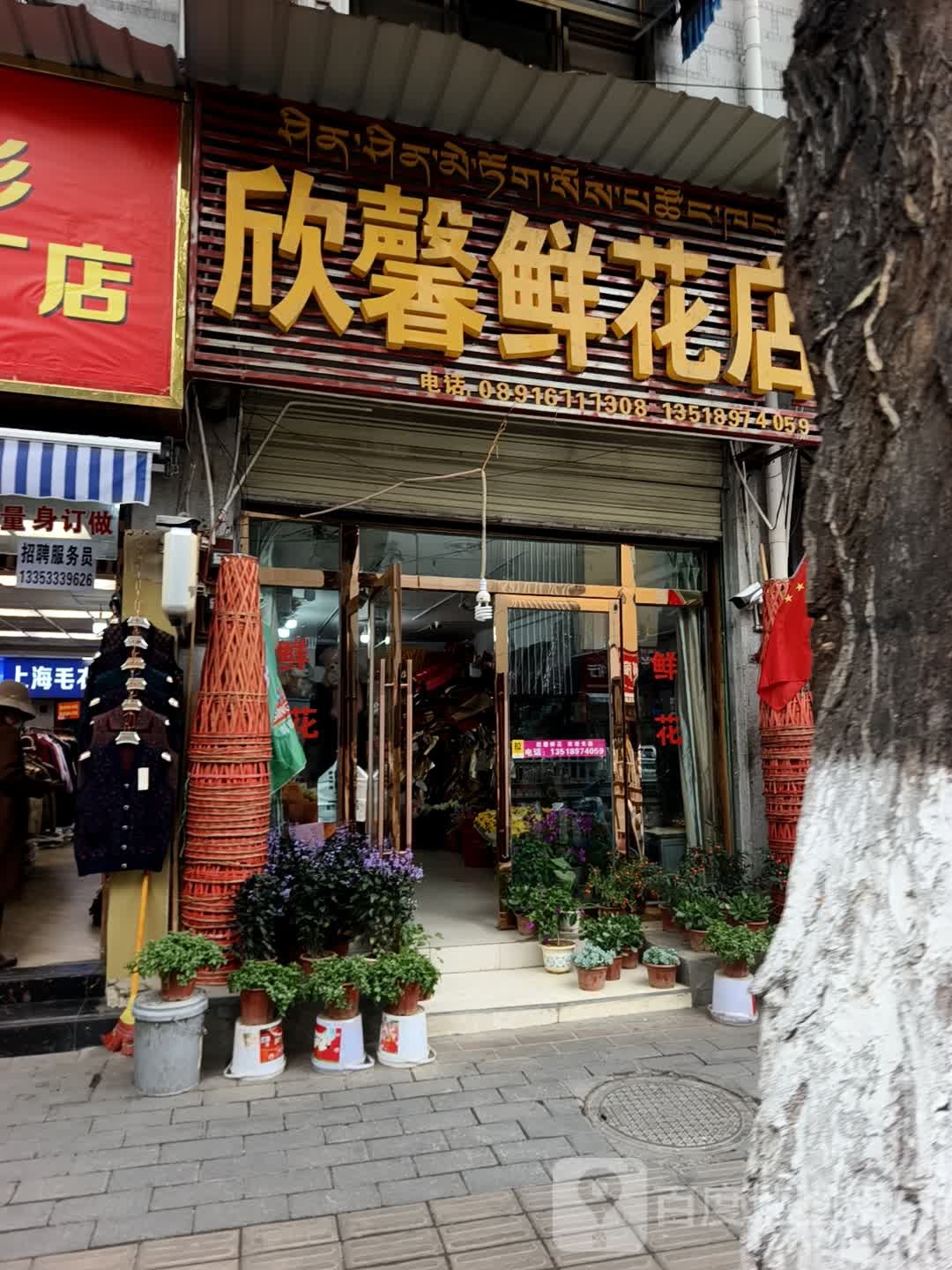 欣馨鲜花店