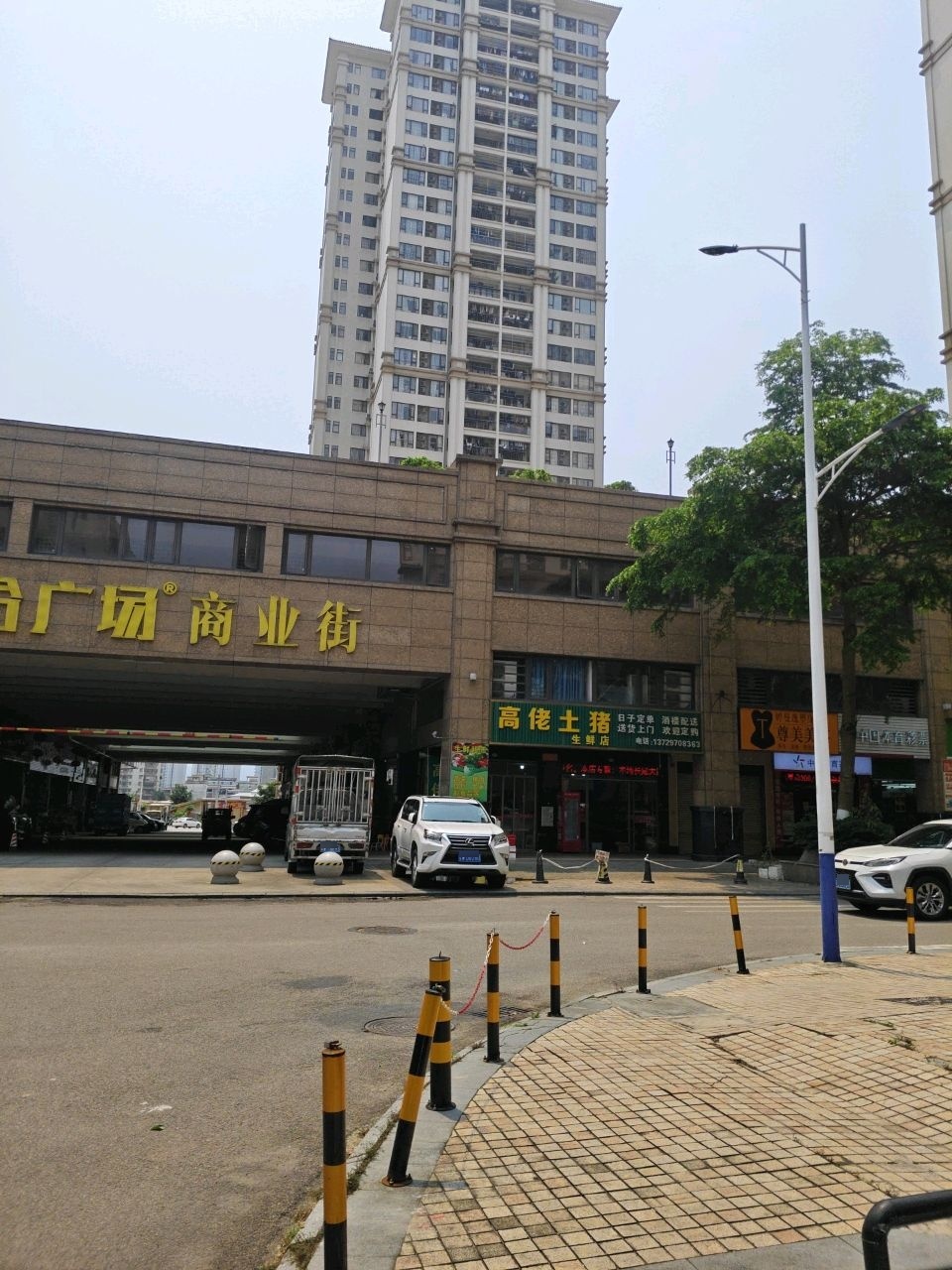 尊美