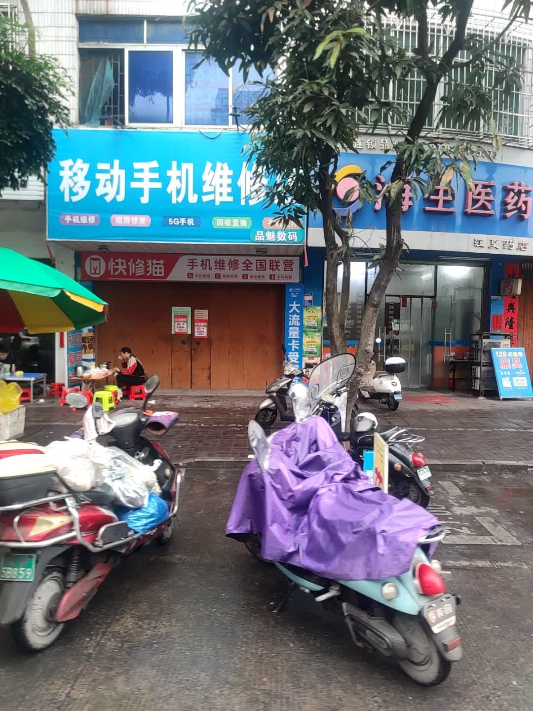 快修猫(育苗幼儿园店)
