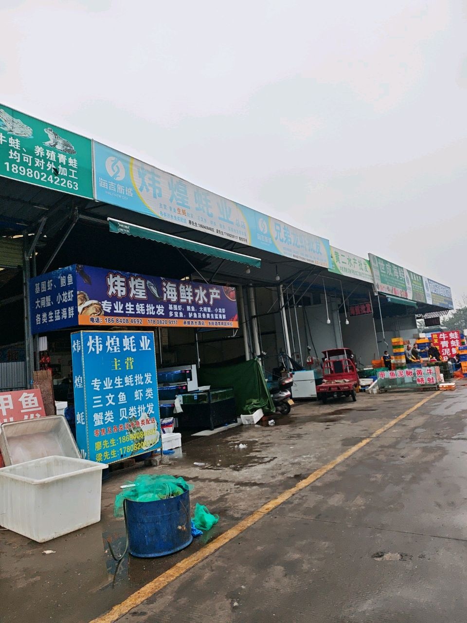 泸州炜煌蚝业生蚝批发总仓