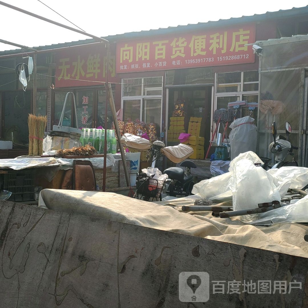 向阳百货便便利店