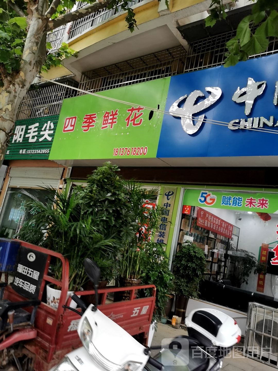 息县信阳毛尖(南大街店)