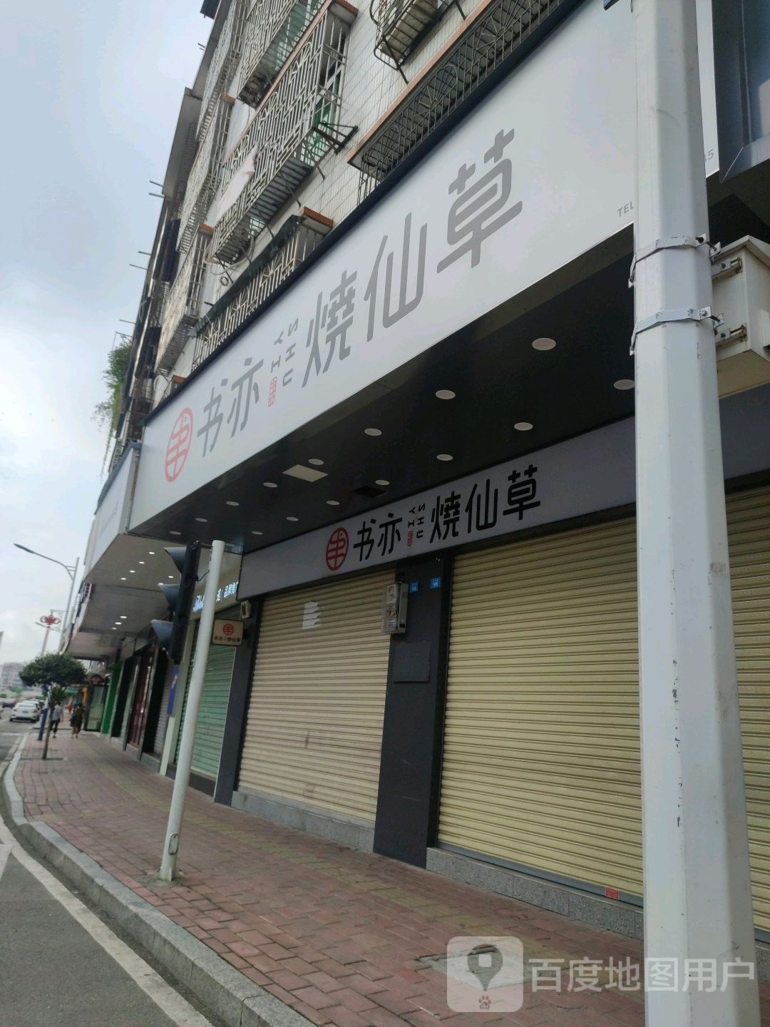 烧选艺仙花怆草(兴东路店)