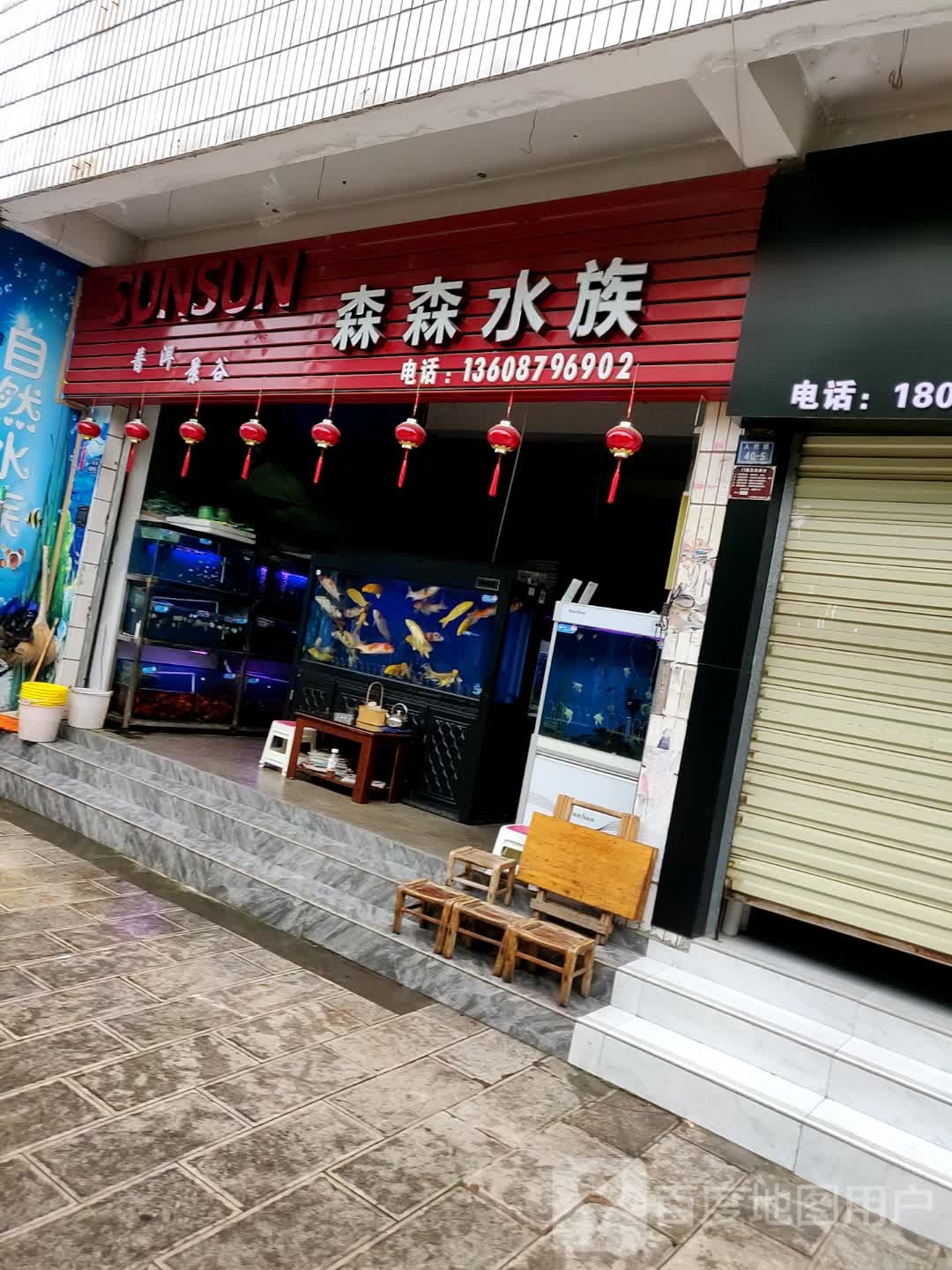 森森四族(人民路店)