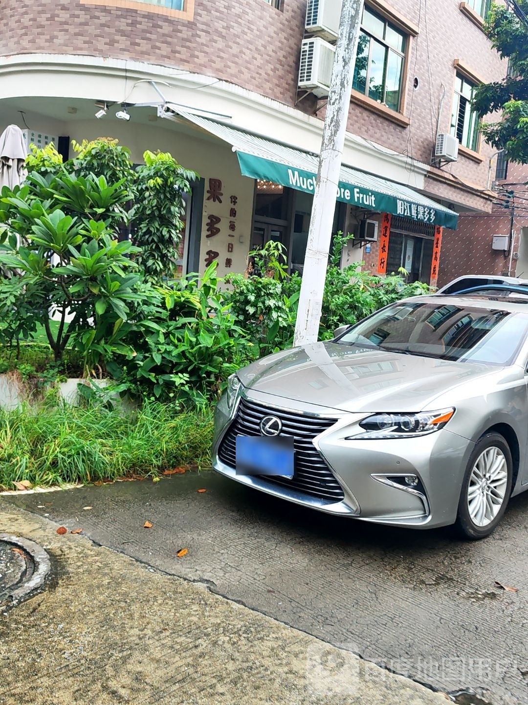 阳江鲜果果多多(马曹北路店)