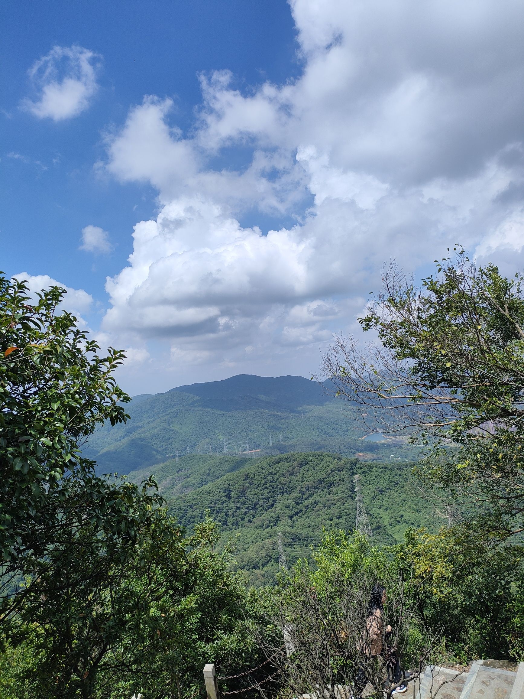 莲花山郊野公园