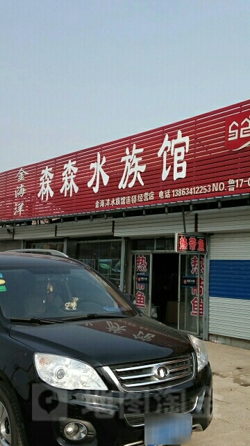金海洋森森水族箱(森森水族经营店)