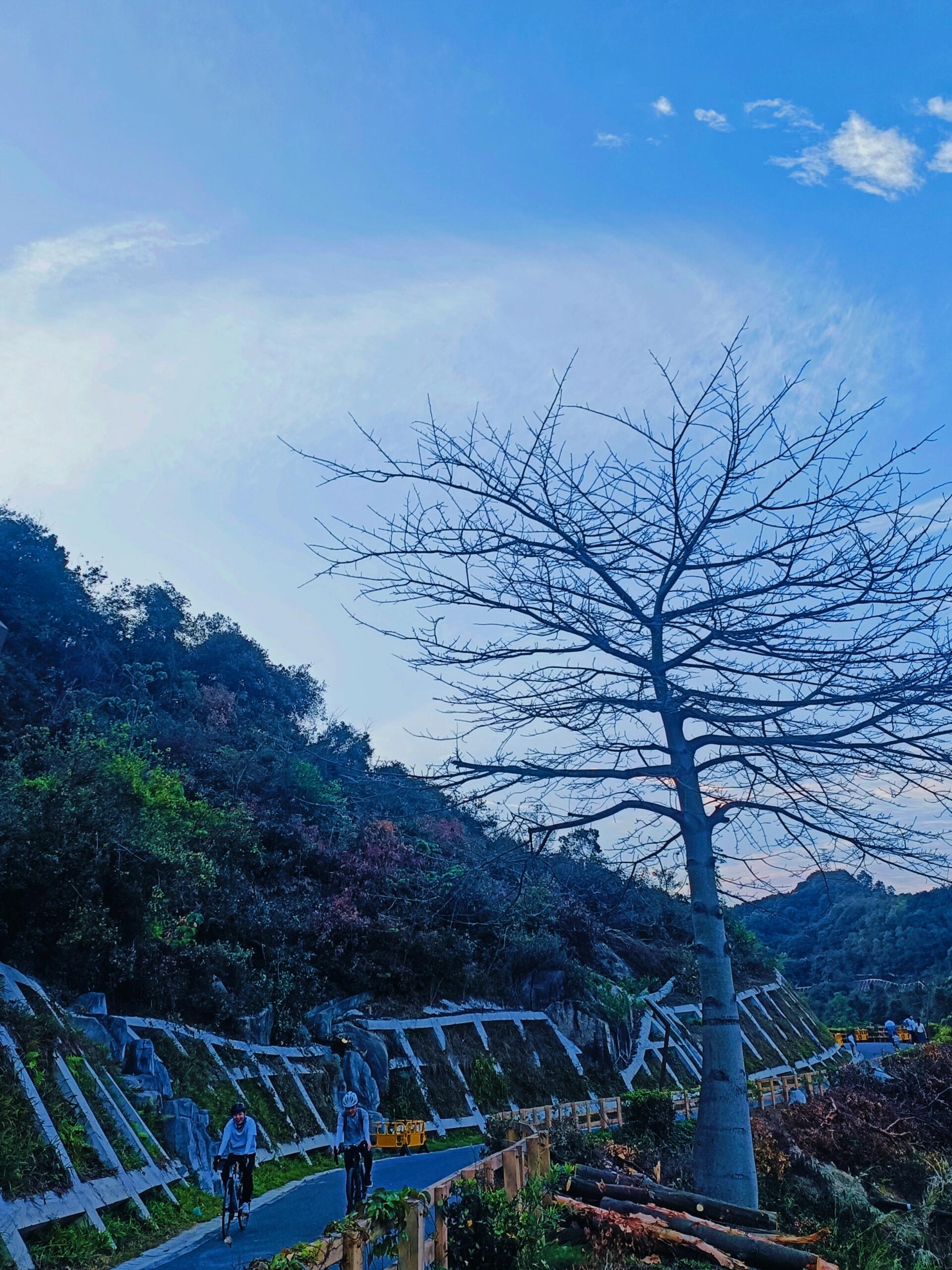 阳台山森林公园