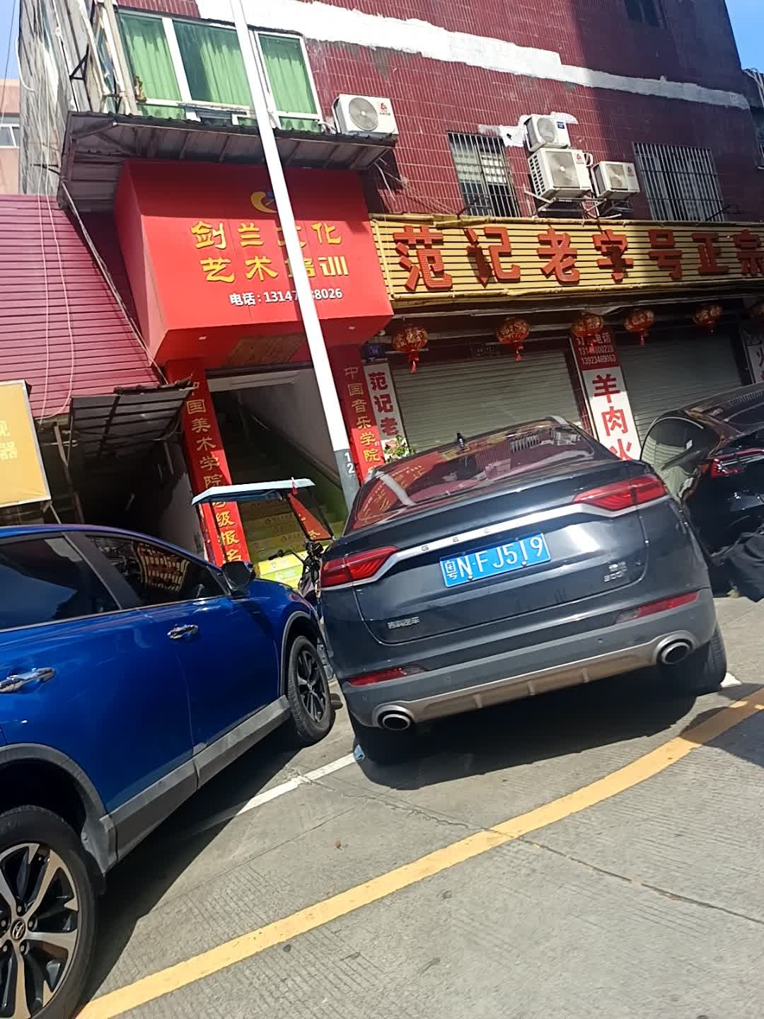 剑兰文化艺术培训