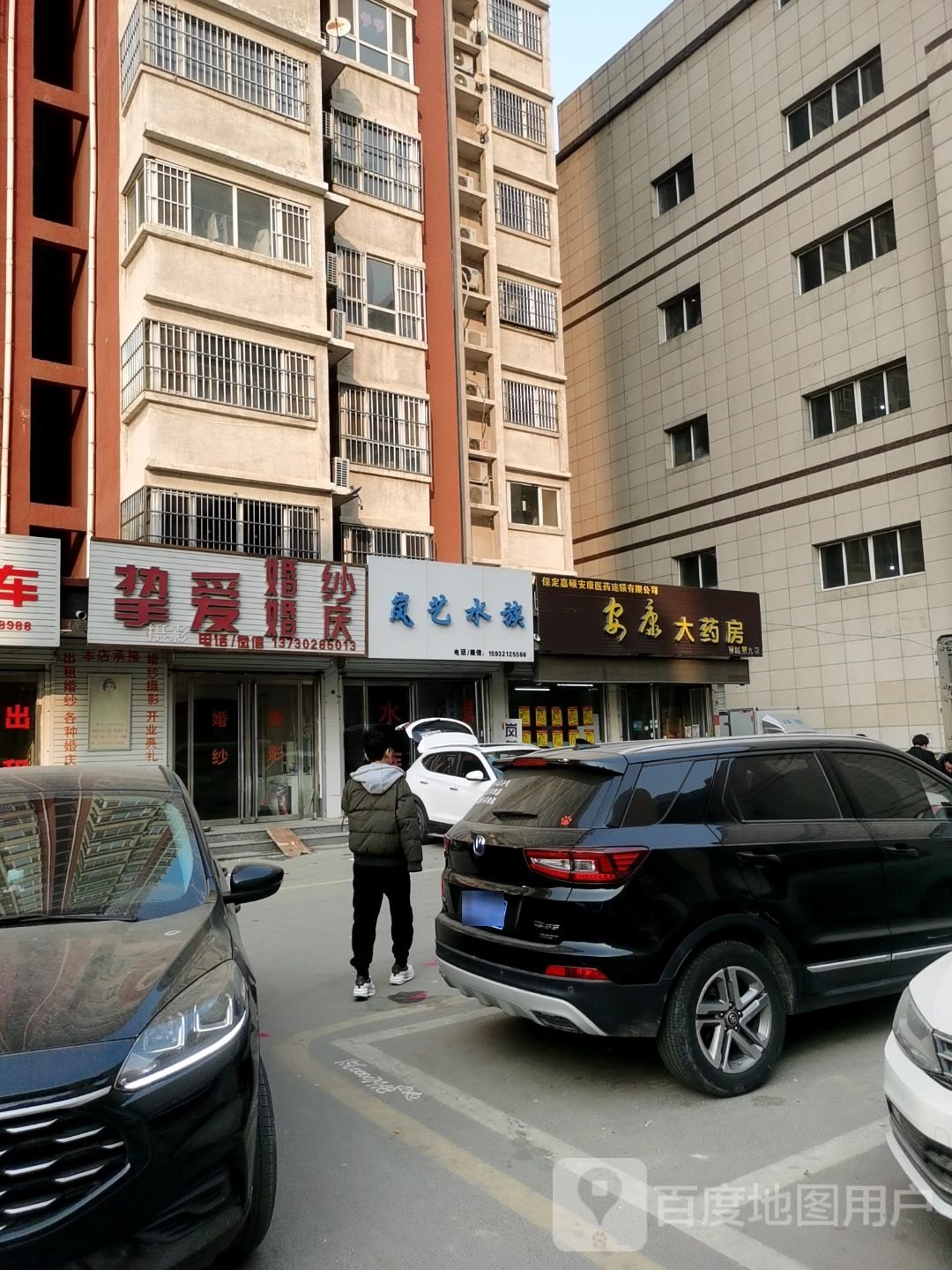 岚艺水族